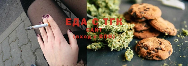 хмурый Ельня