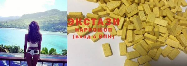 хмурый Ельня