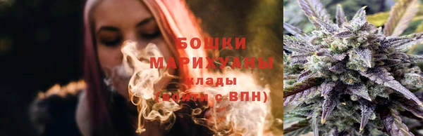 хмурый Ельня