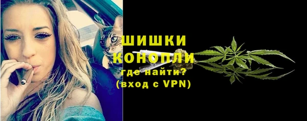 стаф Елизово