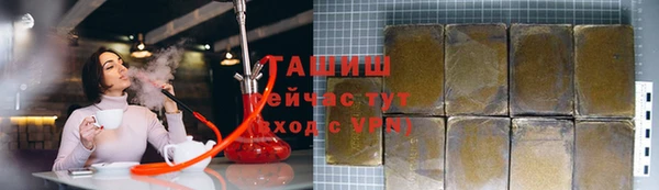 хмурый Ельня