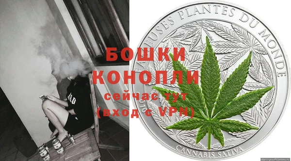 стаф Елизово