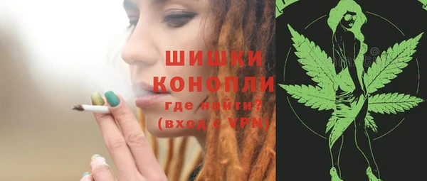 стаф Елизово