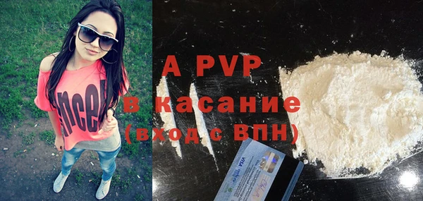 хмурый Ельня