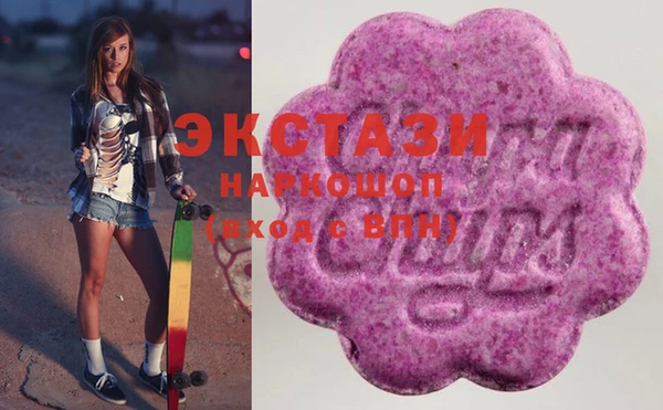хмурый Ельня
