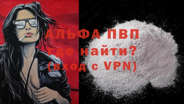 хмурый Ельня
