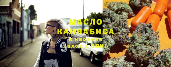 хмурый Ельня