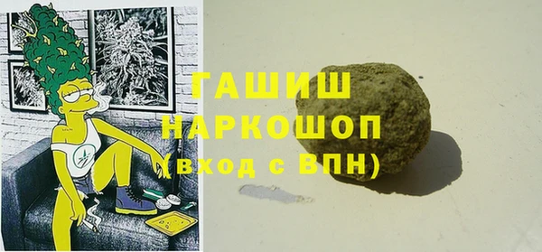хмурый Ельня