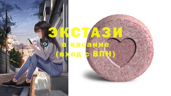 хмурый Ельня