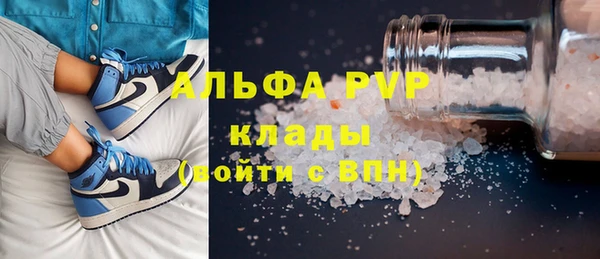 стаф Елизово