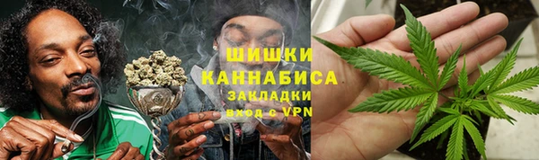 стаф Елизово