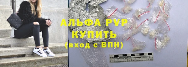 стаф Елизово