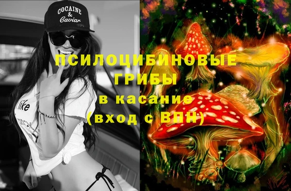стаф Елизово