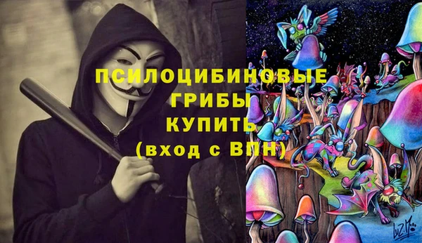 хмурый Ельня