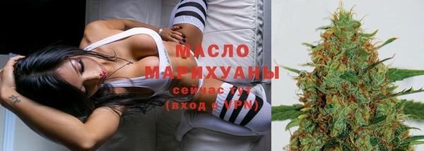 хмурый Ельня